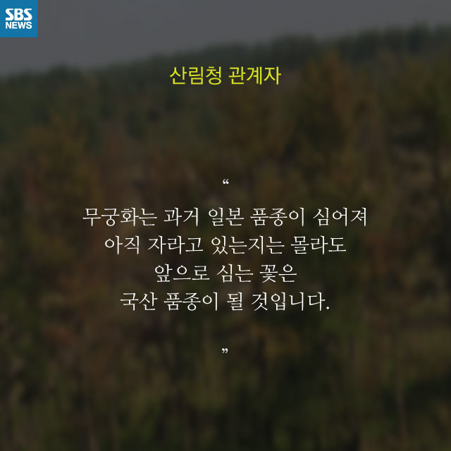 메인이미지  13 : 