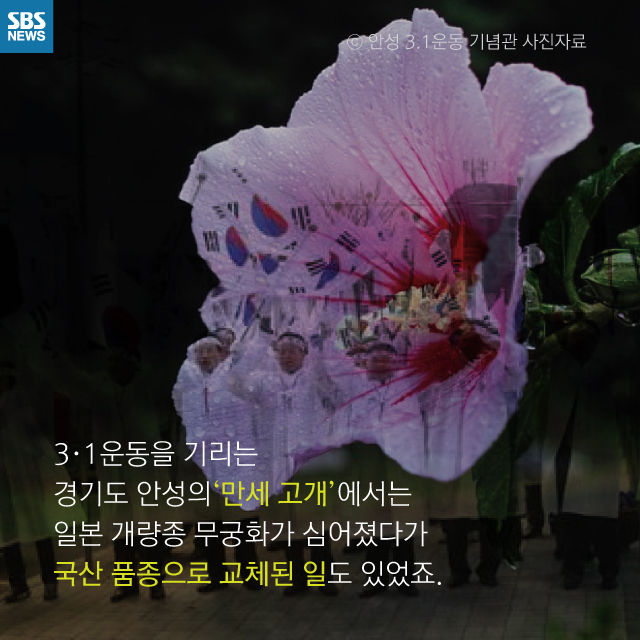 메인이미지  6 : 