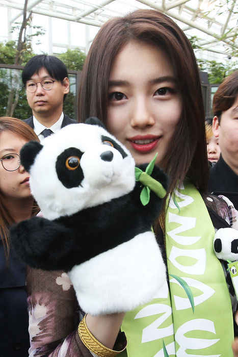 메인이미지  6 : 21일 오전 경기도 용인시 처인구 에버랜드에서 열린 판다월드에서 개장식에서 가수 수지가 판다 인형을 손에 끼우고 인사를 하고 있다.