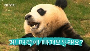 [비디오머그] 먹방요정 판다커플 첫 공개&hellip;에버랜드 '판다월드' 개관