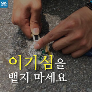 [카드뉴스] 도로에 뱉은 '검은 양심'&hellip;껌딱지에 그림 그리다