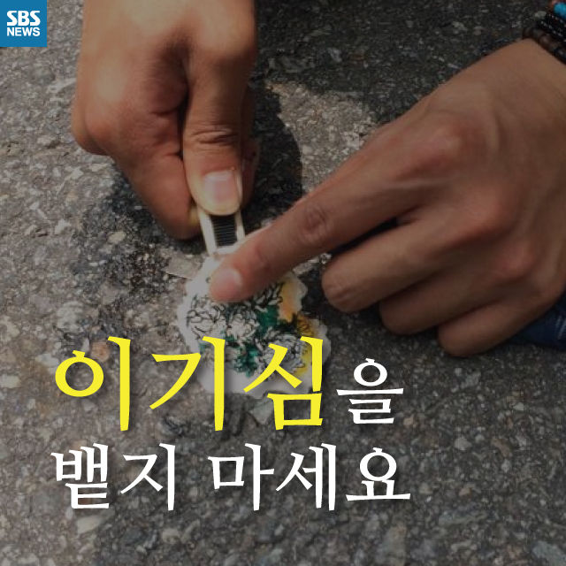 메인이미지  1 : 