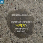 섬네일이미지  3: