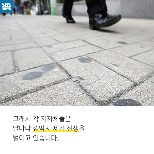 메인이미지  10 : 