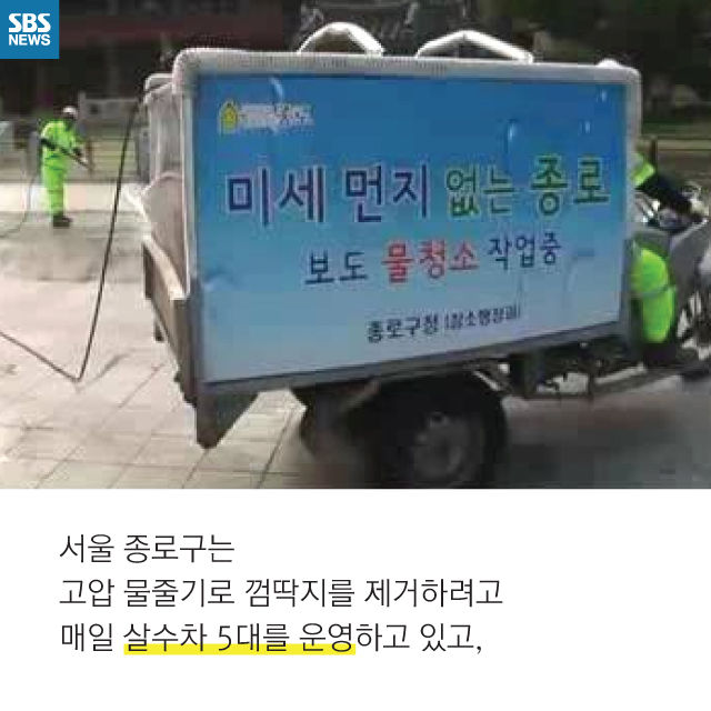 메인이미지  11 : 
