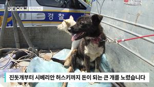 [자막뉴스] 차 안에 엉킨 개털이 잔뜩&hellip;에쿠스의 '수상한 용도'