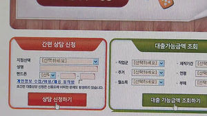 금감원, '대출중개사이트 피해' 주의 당부