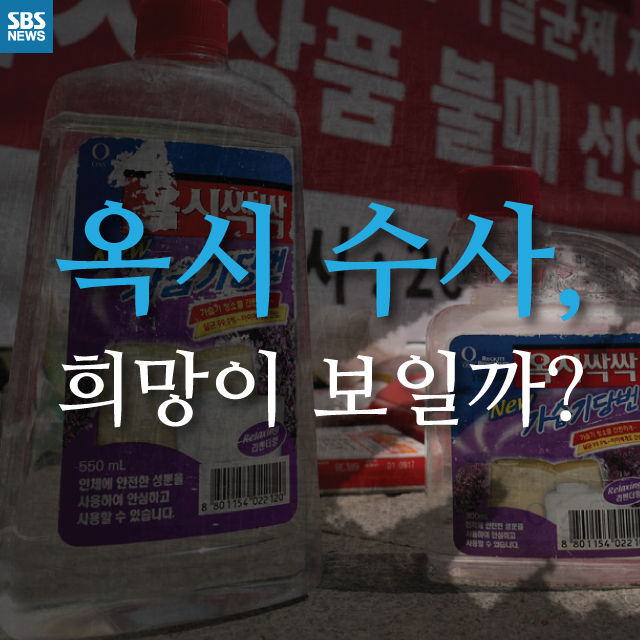 메인이미지  1 : 