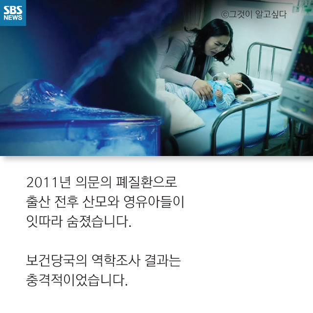 메인이미지  2 : 