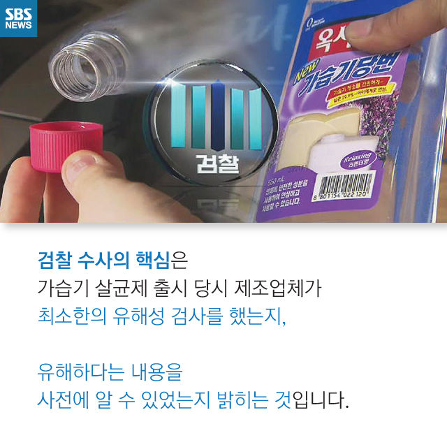 메인이미지  7 : 