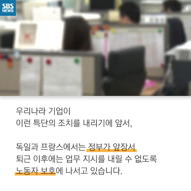 메인이미지  11 : 