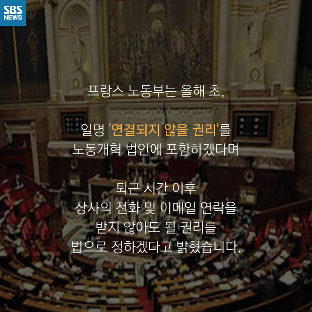 메인이미지  13 : 