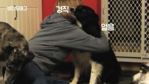 [비디오머그] "포옹이 싫어요"&hellip;주인은 모르는 강아지 속마음