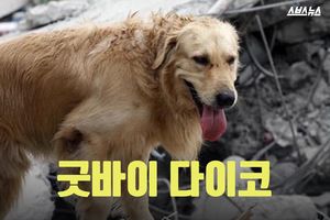 7명 소중한 목숨 구하고 떠난 구조견&hellip;'굿바이 다이코'