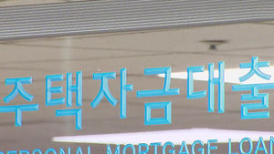 '주택대출규제' 전국 확대&hellip;부동산 위축 우려