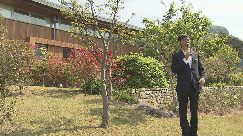 유일하게 표지석이 있는 산딸나무의 사연