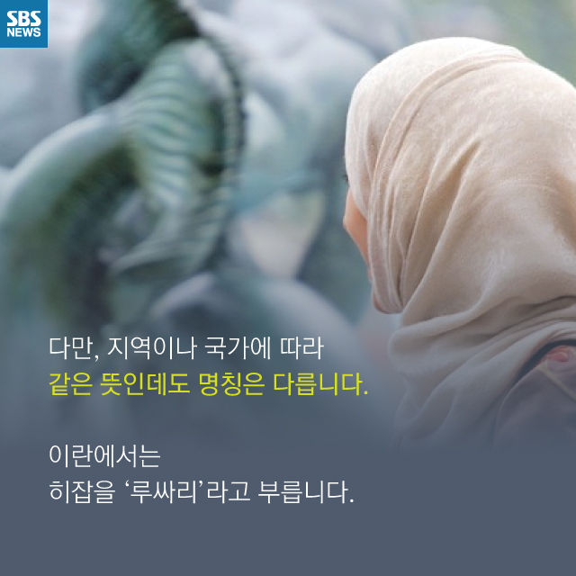 메인이미지  6 : 