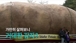 [비디오머그] 무게만 6톤 '거대 감자'&hellip;뜻깊은 아이디어