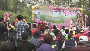 [수도권] 청계산 옛골마을 '철쭉축제' 7일 개막