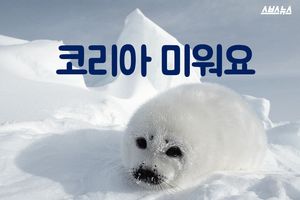 '코리아 미워요&hellip;' 잔인하게 죽어가는 하프물범