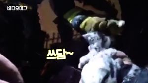 [비디오머그] 불 속에서 '야옹'&hellip;화재현장에서 구출한 '새끼 고양이'