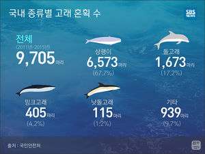 [마부작침] '한쪽에선 살리고, 한쪽에선 죽는' 고래 1,900여 마리