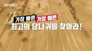 [비디오머그] 8만 대 1의 경쟁&hellip;中 최고 당나귀 선발대회