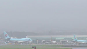 김포발 제주행 항공기 결항 잇따라&hellip;승객 불편