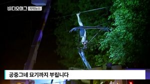 [자막뉴스] 열차 위 '황당한 묘기'&hellip;12시간 운행 중단 사태