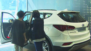 자동차 내수 판매 늘었다&hellip;개소세 인하 효과