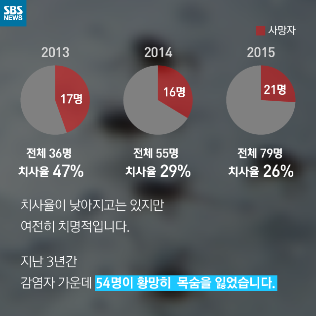 메인이미지  6 : 