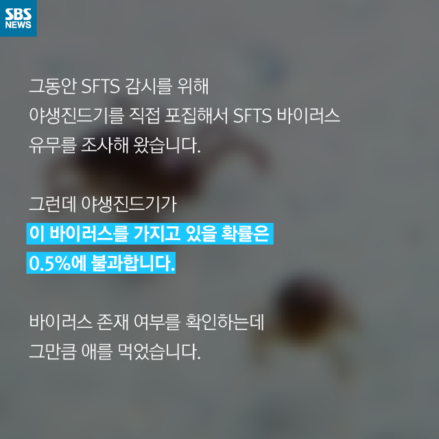 메인이미지  7 : 