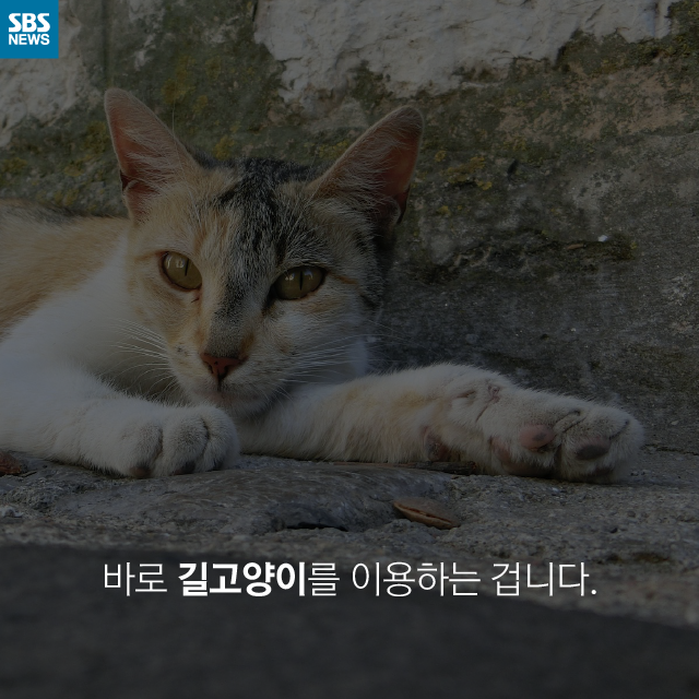 메인이미지  9 : 