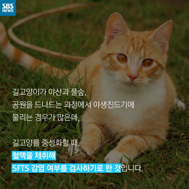 메인이미지  10 : 