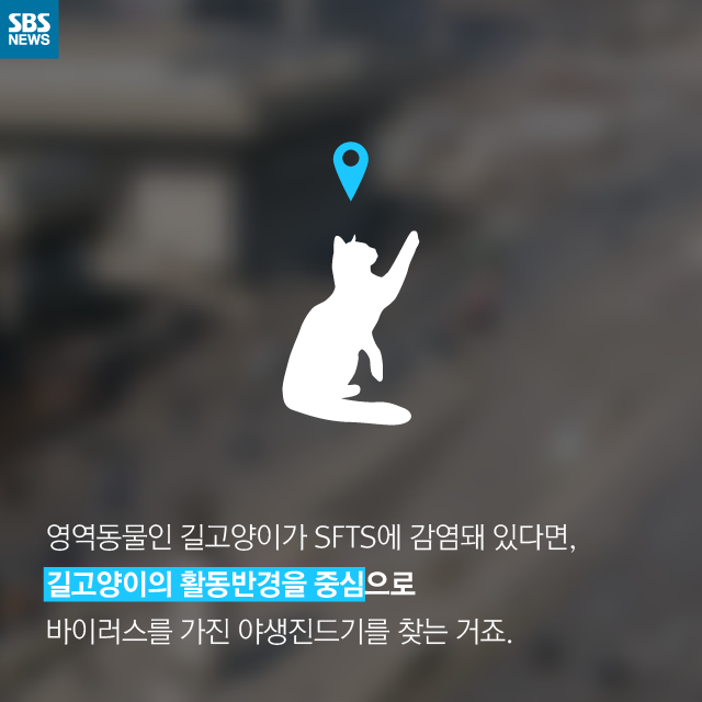 메인이미지  11 : 