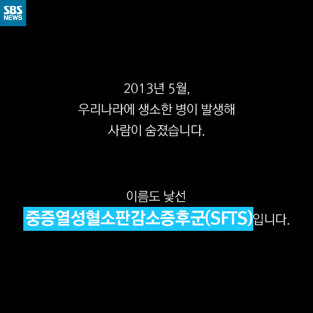 메인이미지  2 : 