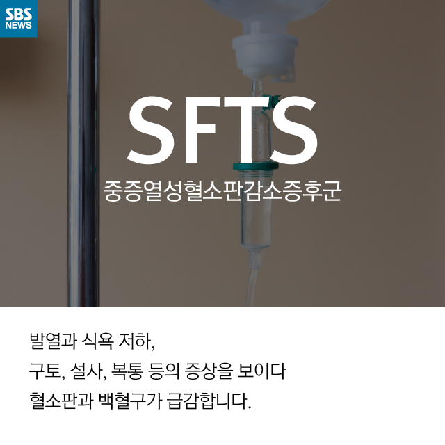 메인이미지  3 : 