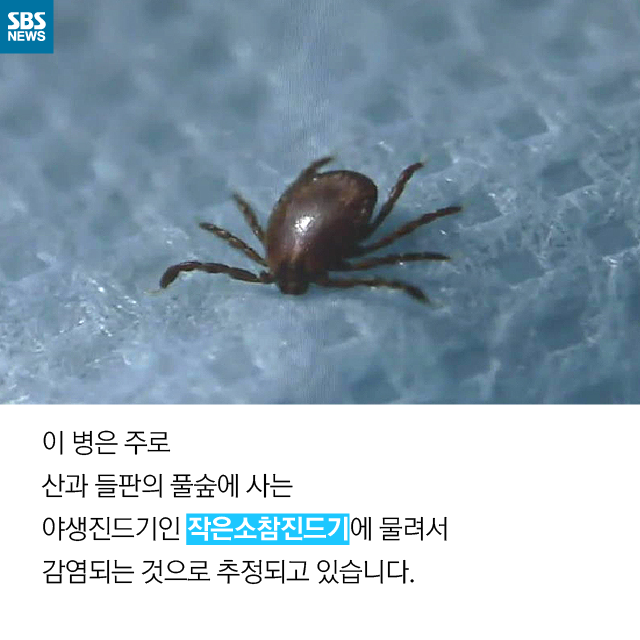 메인이미지  4 : 