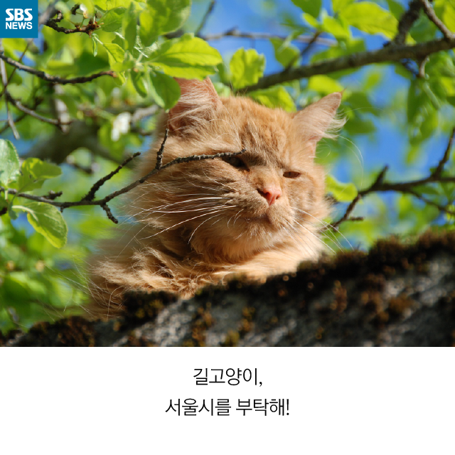 메인이미지  13 : 