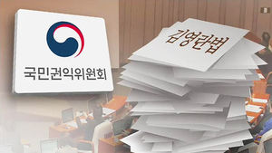 시행령까지 갖춘 김영란법&hellip;헌법재판소 판단만 남았다