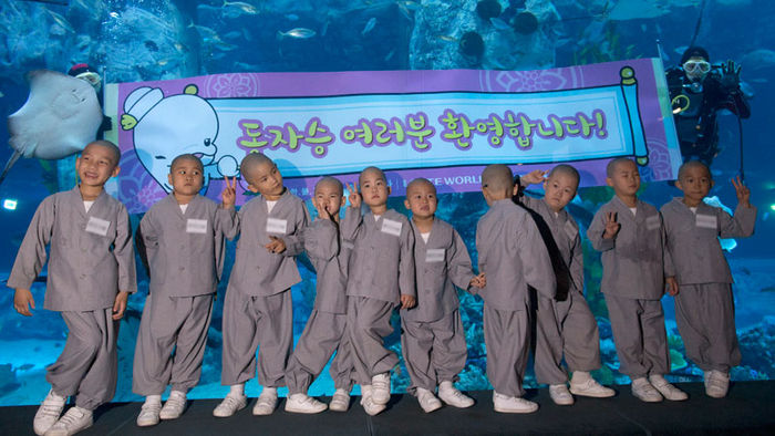 메인이미지  3 : 석가탄신일을 사흘 앞둔 11일 오후 서울 송파구 잠실롯데월드몰 아쿠아리움을 찾은 동자승들이 기념촬영을 하고 있다.