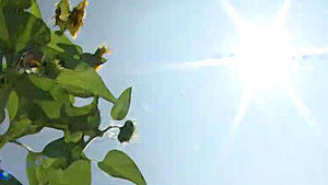 [취재파일] 봄과 여름이 공존하는 한주…강한 자외선을 조심하세요