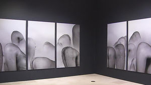 산수화처럼 보이는 엉덩이&hellip;리우웨이 '파노라마' 展