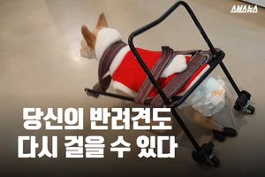 "당신의 반려견도 다시 걸을 수 있어요"