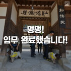 섬네일이미지  1: