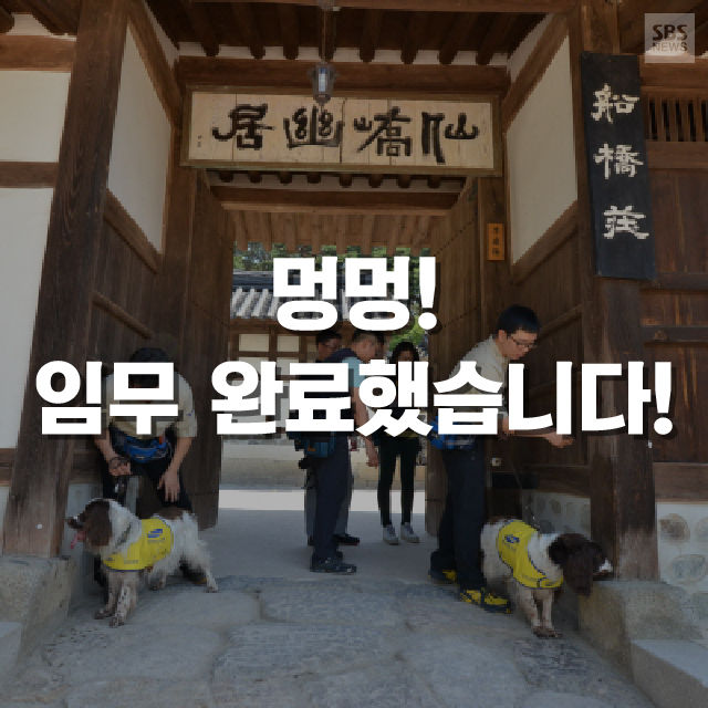 메인이미지  1 : 