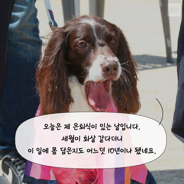 메인이미지  2 : 