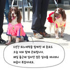 섬네일이미지  3: