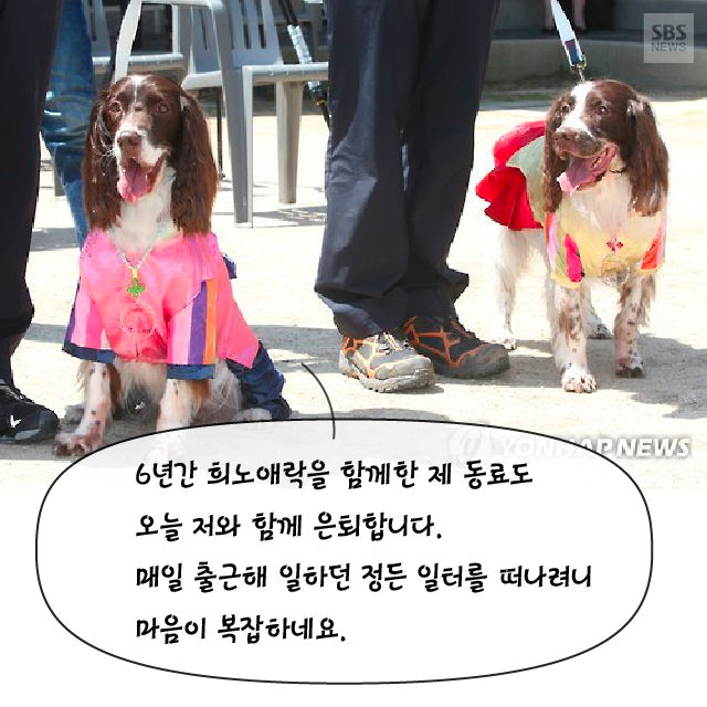 메인이미지  3 : 