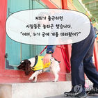 섬네일이미지  4: